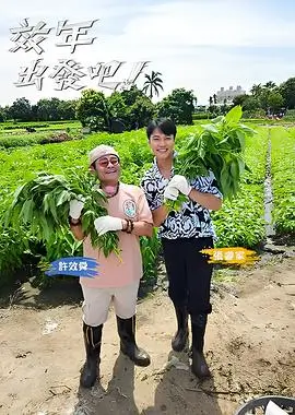 综艺节目在线观看脑力突围
